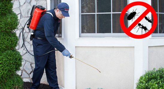 Senirkent Akrep İlaçlama böcek ilaçlama ve haşere kontrolü — ilaclama-tr.com